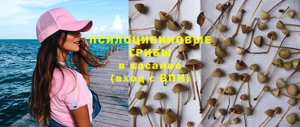 а пвп мука Армянск