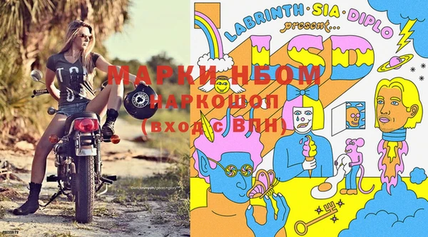 каннабис Арсеньев