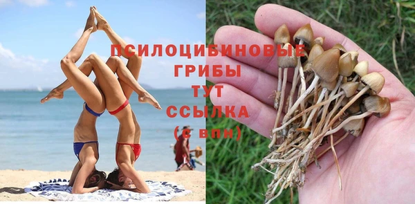 не бодяженный Аркадак