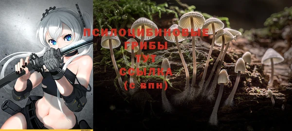 каннабис Арсеньев