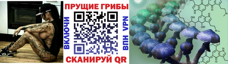 KRAKEN рабочий сайт  Лодейное Поле  Псилоцибиновые грибы Cubensis 